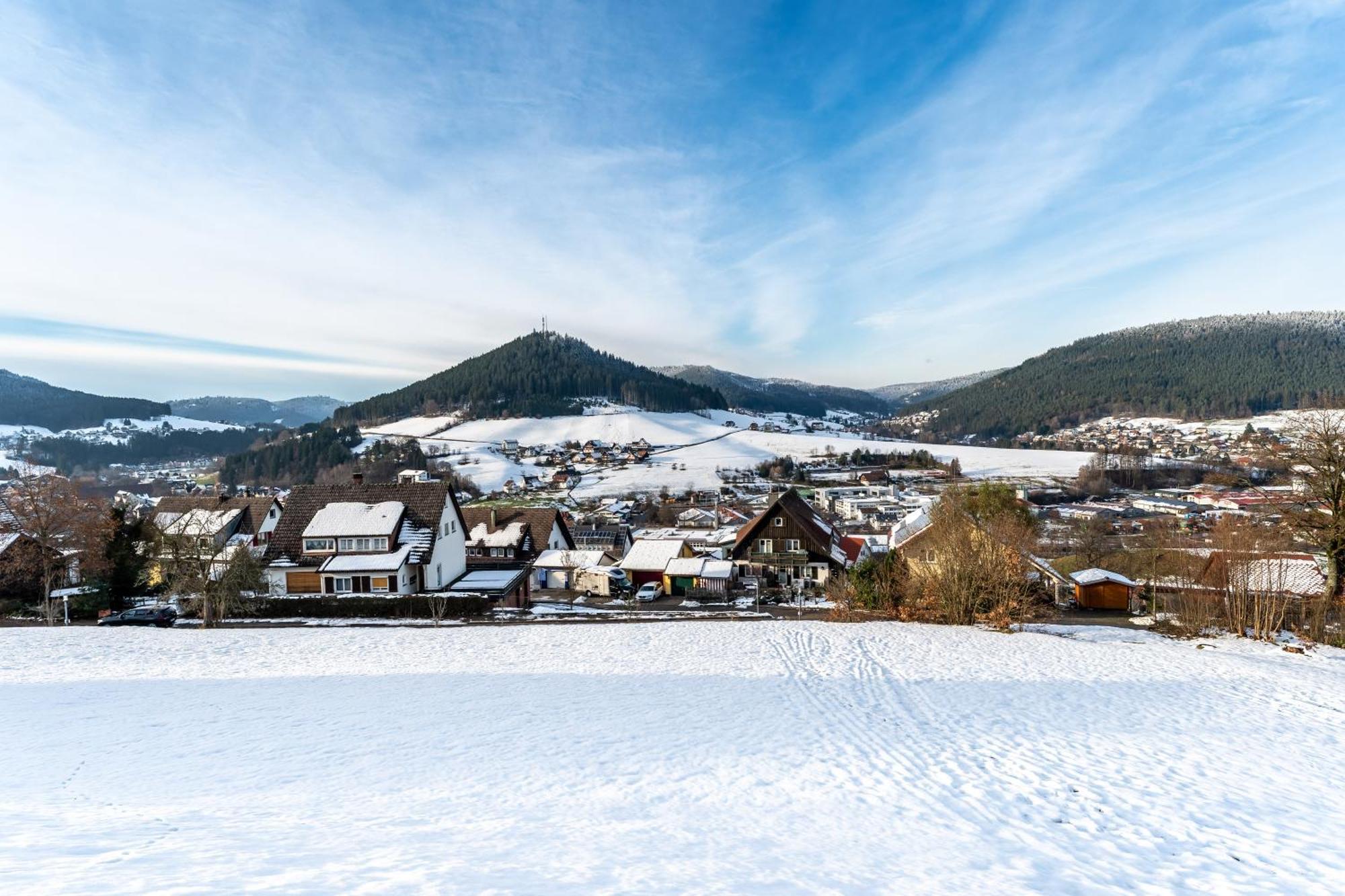 Апартаменты Juri5 In Baiersbronn Mit Pool Экстерьер фото