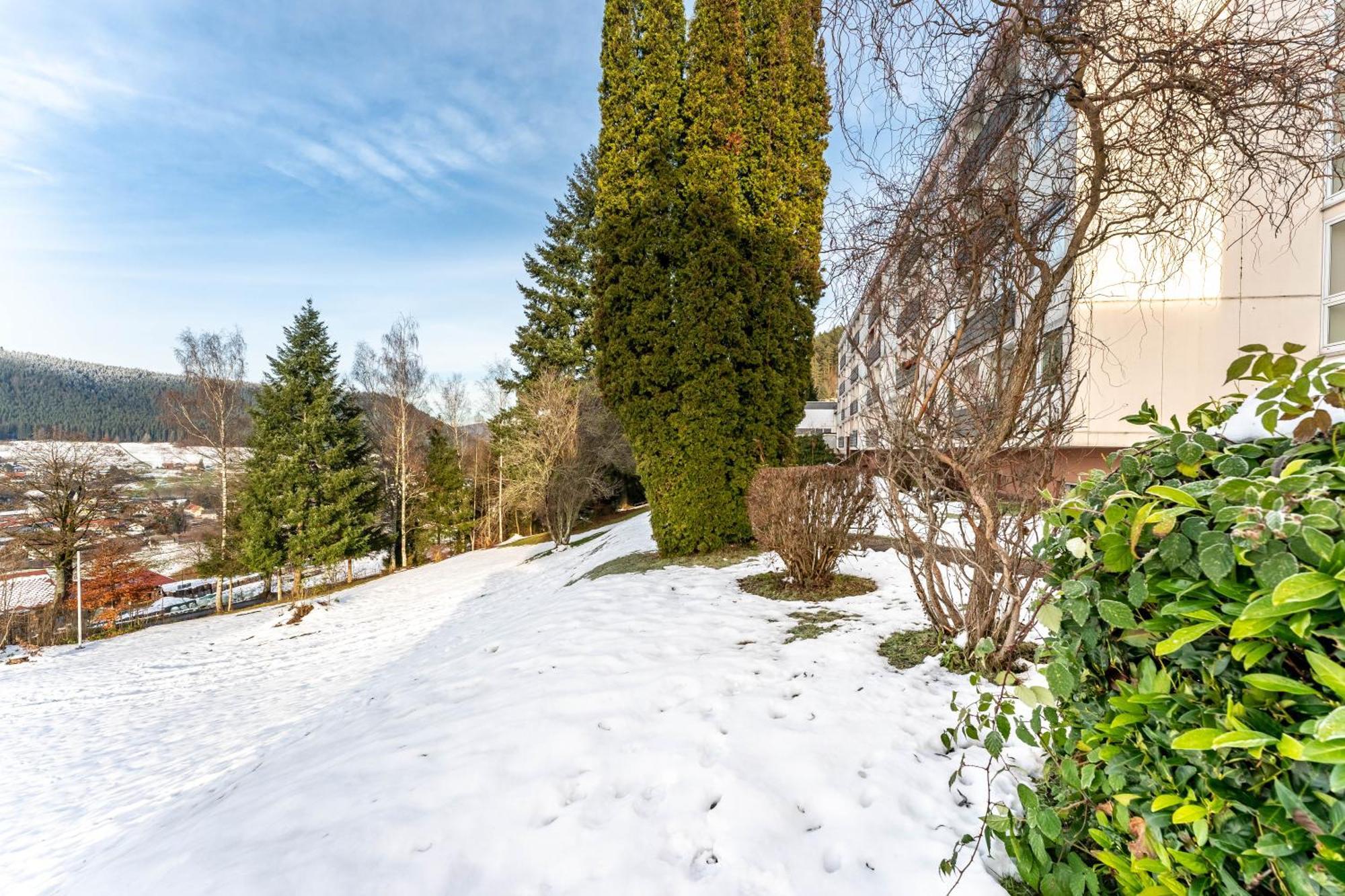 Апартаменты Juri5 In Baiersbronn Mit Pool Экстерьер фото